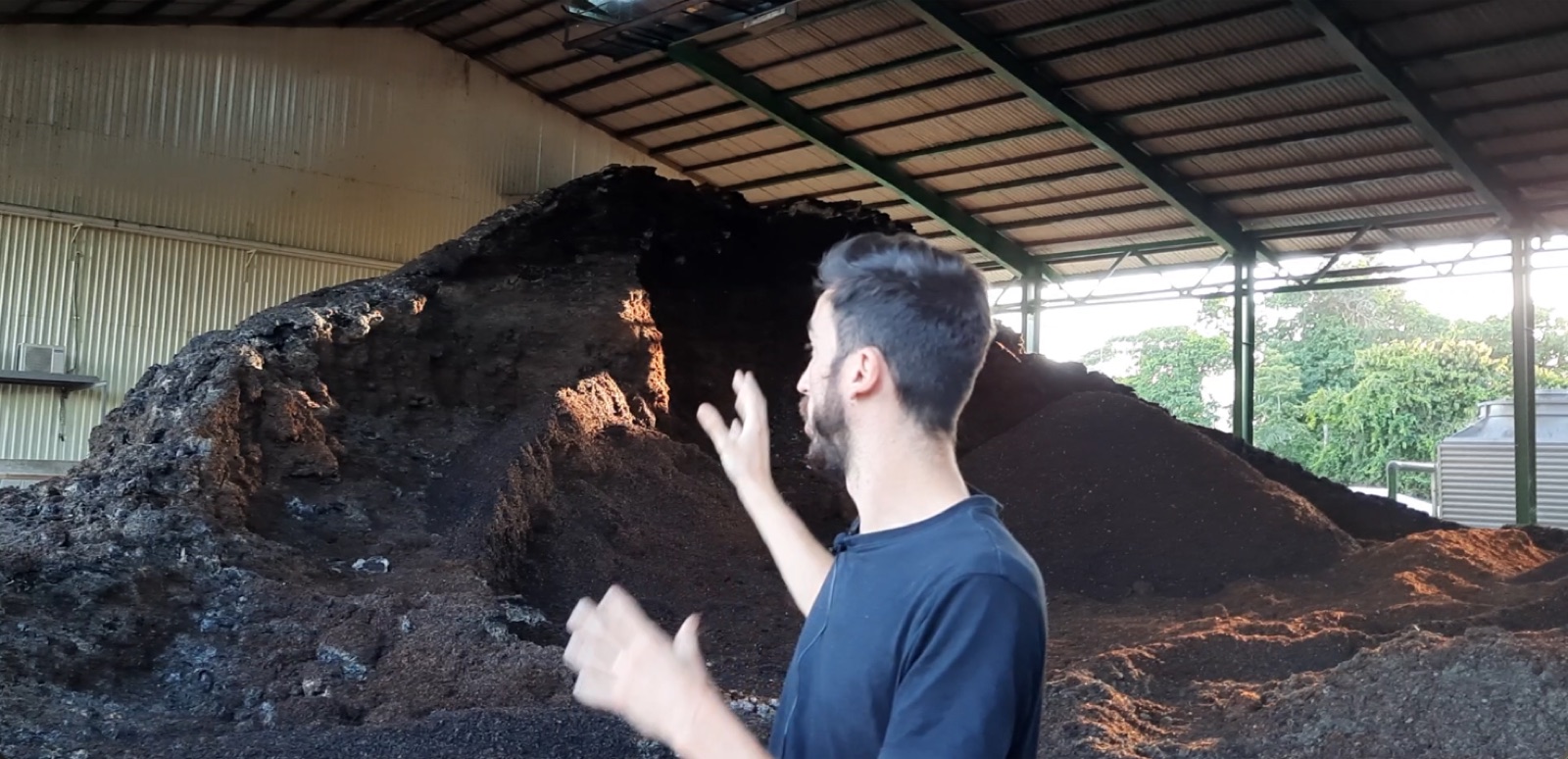 Tas de cascara en décomposition dans une filière café
